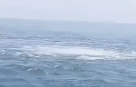 Gelembung yang muncul di perairan Karawang, diduga akibat kebocoran pipa gas di tengah laut. DARIDESA-Tangkap Layar Video FB Deden Dermawanto