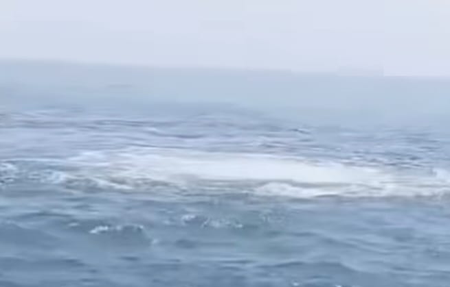 Gelembung yang muncul di perairan Karawang, diduga akibat kebocoran pipa gas di tengah laut. DARIDESA-Tangkap Layar Video FB Deden Dermawanto